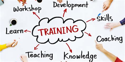 importance  training  development   workplace  millennium group insights