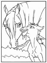 Paard Paarden Kleurplaten Veulen Pferde Malvorlage Ausmalbild Kleuren Kleurplaatjes sketch template