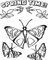Spring Coloring Butterflies Printable Kids sketch template