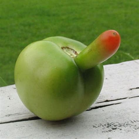 20 fruits and vegetables that look suspiciously sexual
