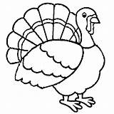 Pavo Colorear Turkeys Dinde Clipartmag Coloriages Webstockreview sketch template