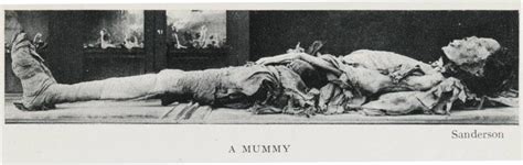 when unrolling mummies was all the rage in victorian