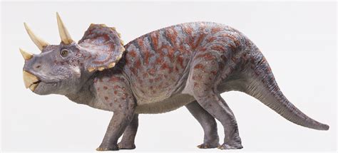 top  famous dinosaurs  roamed  earth