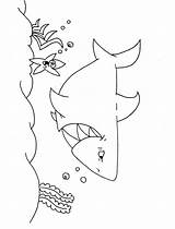 Shark Sharks Kidzone Quiver Dolphin Maze sketch template