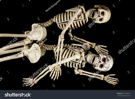 halloween sex skeletons having sex on black background