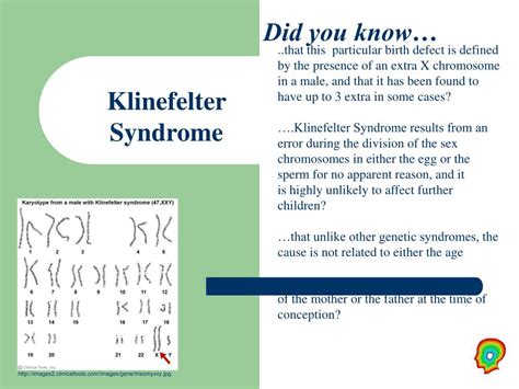 Ppt Klinefelter Syndrome Powerpoint Presentation Free Download Id