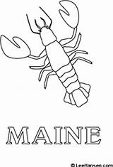 Maine Coloring Lobster Pages Vacation sketch template