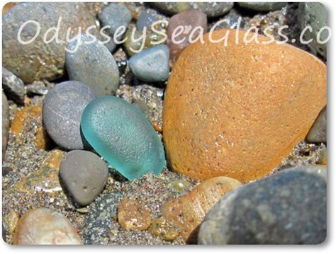 Sea Glass Collecting