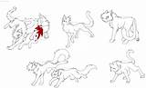 Lineart Clan Mates Realistic Img01 Thunderclan sketch template