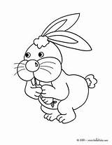 Rabbit Carrot Eating Coloring Pages Animal Hellokids Color Farm Drawing Amazing Cute Animals Kids Print Sheets Getdrawings sketch template