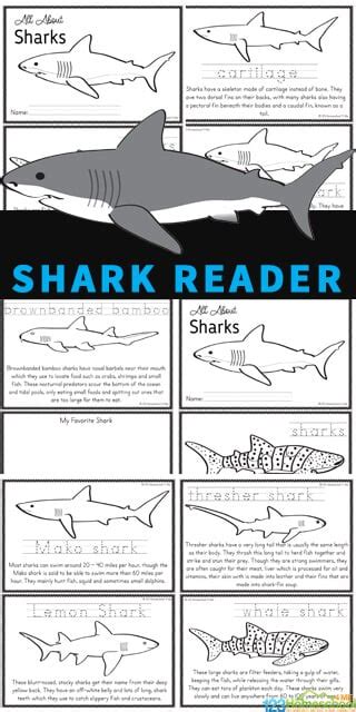 shark  kids printable reader