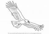 Eagle Draw Drawing Step Flying Pencil Drawings Easy Bird Birds Bald Sketch Drawingtutorials101 Tutorial Animals Getdrawings Coloring Tattoos Accipitridae Painting sketch template