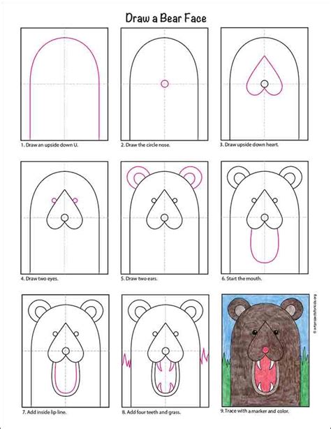 easy   draw  bear face tutorial  bear face coloring page
