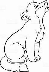 Wolf Coloring Pages Drawing Cute Howling Baby Little Easy Drawings Kids Animal Clipart Outline Howls Vector Anime Stock Head Arctic sketch template