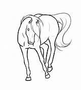 Lineart Horse Bucking Deviantart Running Mare Link sketch template
