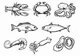 Seafood Rambleron sketch template