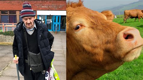 Pensioner Banned From Every Farm In Britain For Fisting Cow