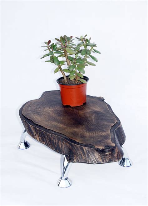 large  edge burl wood slab plant stand indoor log pot etsy