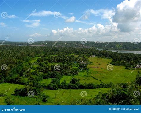 picturesque green landscape stock image image  woodland nature