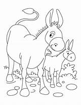 Foal Donkey Coloring Pages Baby Drawing Kids Printable Getdrawings Color Getcolorings Books sketch template