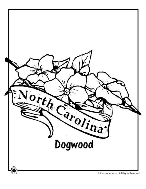 north carolina state flower coloring page woo jr kids activities