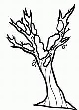 Bare Coloring Tree Cliparts Pages Seaweed Popular sketch template