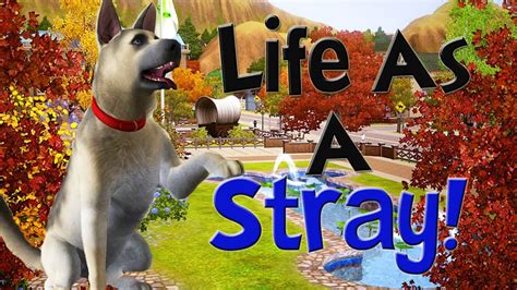 let s play the sims 3 life as a stray part 1 a friend youtube