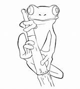 Frog Coloring Pages Tree Cute Frogs Drawings Print Printable Drawing Coqui Animals Outline Kids Animal Worksheets Sheets Color Pencil Dibujos sketch template