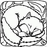 Fox Coloring Pages Colouring Printable Clip sketch template