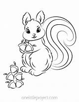 Squirrel Acorns Onelittleproject sketch template