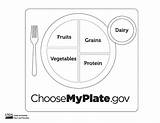Myplate Coloring Sheet Template Curated Reviewed sketch template