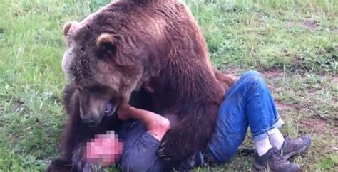 Man Will Pay 100 000 To Have Sex With Grizzly Bear Crazed