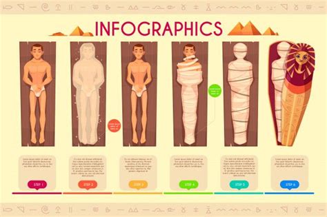 mummy creation infographics steps    vector freepik freevector infographic