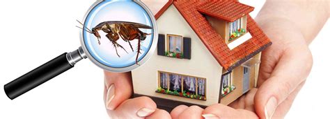 Effective Safe Ultrasonic Electronic Pest Repeller Killer