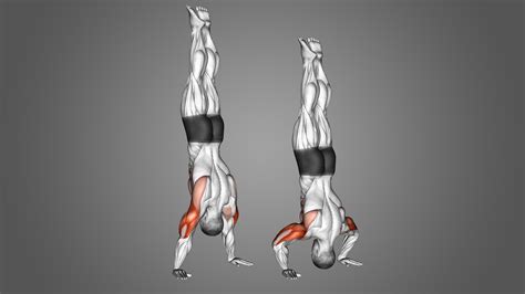 handstand push  benefits muscles worked   inspire