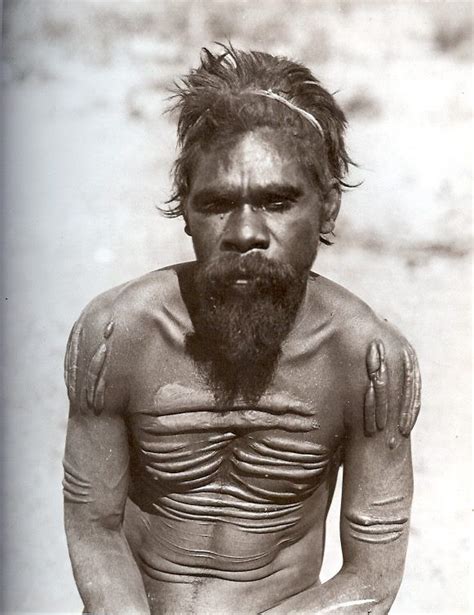 48 best indigenous australians warning contains images