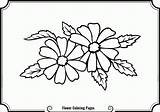 Coloring Flower Pages Jasmine Comments sketch template