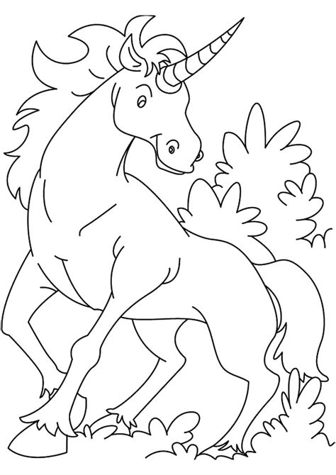 unicorn coloring pages books    printable