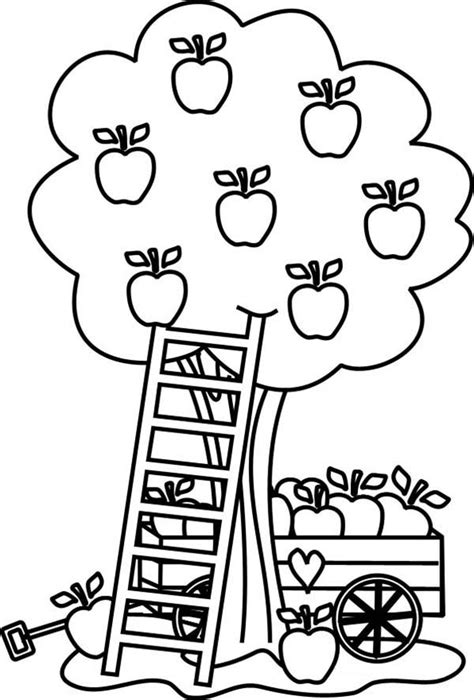 trees leaves fruit trees coloring pages png  file