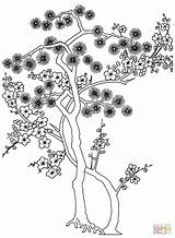 Coloring Tree Pine Print Pages Printable Japanese Drawing sketch template