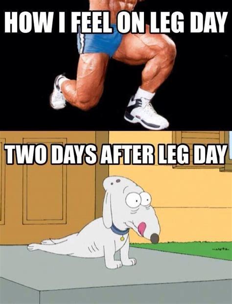 10 Leg Day Workout Tips Supplement Reviews Blog