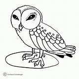 Eule Eulen Kolorowanki Hantu Mewarnai Burung Kleine Owls Sowa Sowy Weise Dzieci Ausdrucken Ptaki Malvorlagen Wydrukowania Kartun sketch template