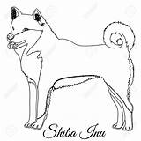 Shiba Inu Outline sketch template