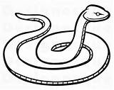 Serpent Homecolor sketch template