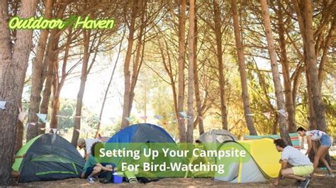discover  ultimate guide  camping  birds outdoor escape haven