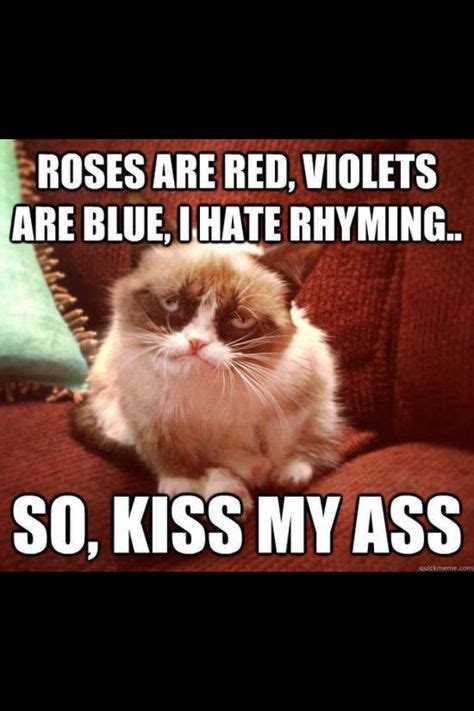 Grumpy Cat Funny Grumpy Cat Memes Grumpy Cat Grumpy Cat Humor