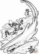 Goblin Colorare Sharks Ausmalbild Ausmalbilder Squalo Disegno Disegnare Haie sketch template