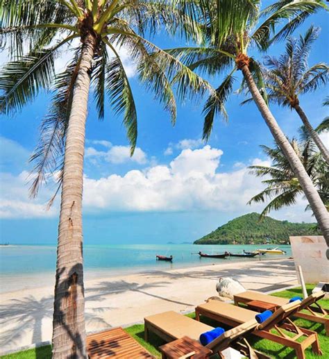 another beautiful resort in koh samui jetsetter daily moment of zen 6