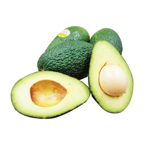 australian avocado bulk   shopifull