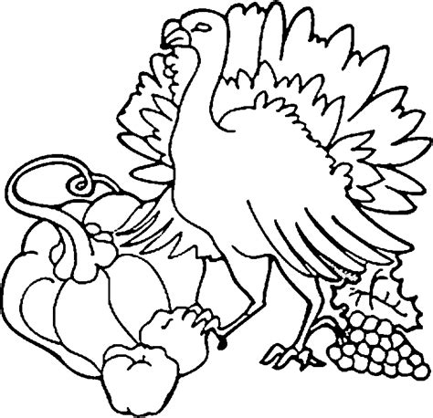 thanksgiving turkey outline coloring home